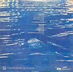 Olivia Newton-John Physical LP Plak
