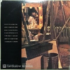 Linda Ronstadt Simple Dreams LP Plak