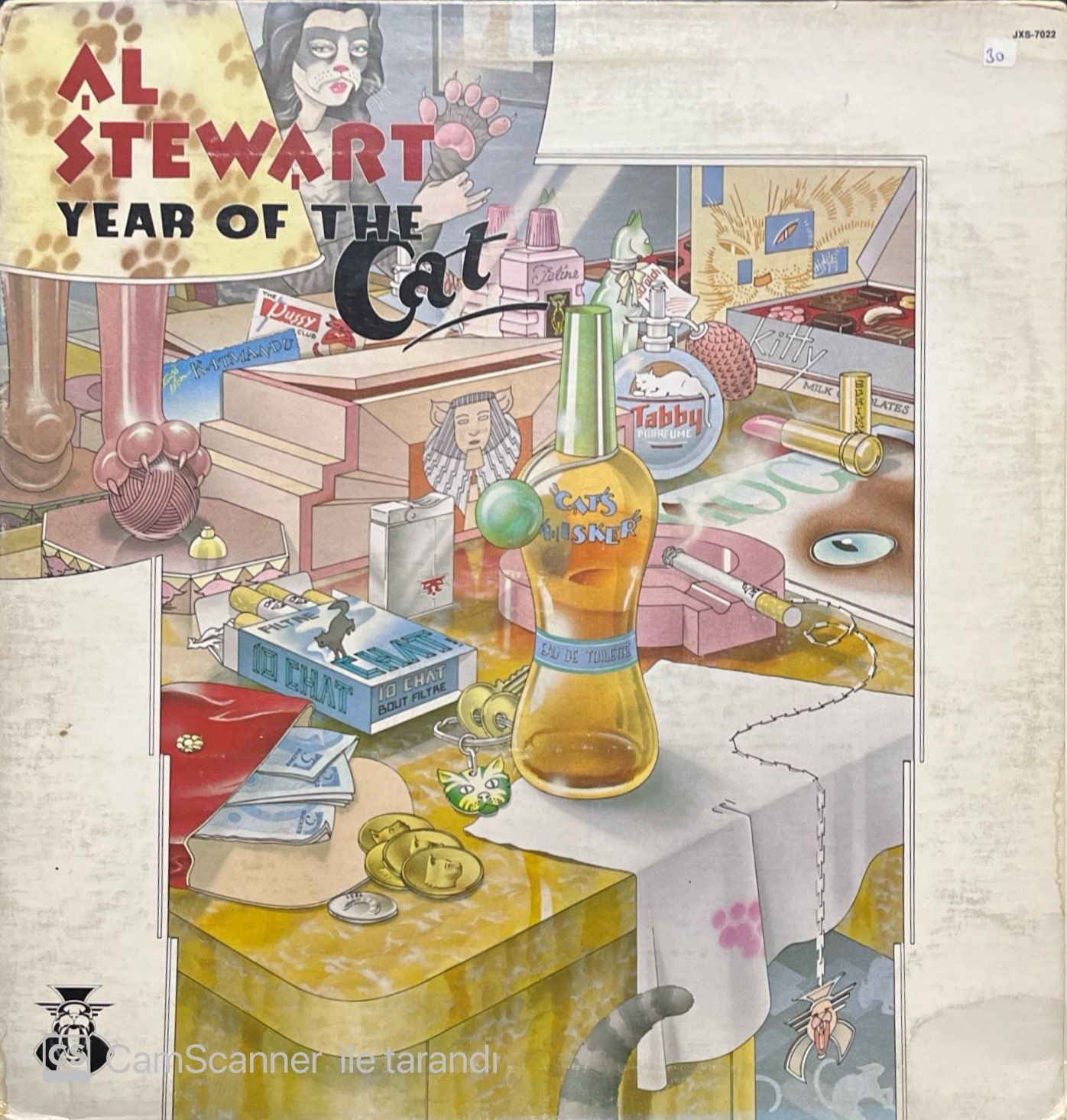 Al Stewart Year Of The Cat LP Plak