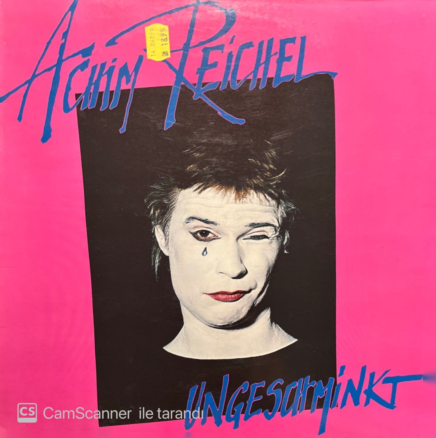 Achim Reichel Ungeschminkt LP Plak