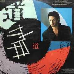 Rick Springfield Tao LP Plak