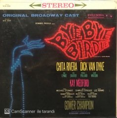 Bye Bye Birdie LP Plak
