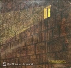Mike Oldfield Shadow On The Wall Maxi Single LP Plak