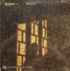Mike Oldfield Shadow On The Wall Maxi Single LP Plak