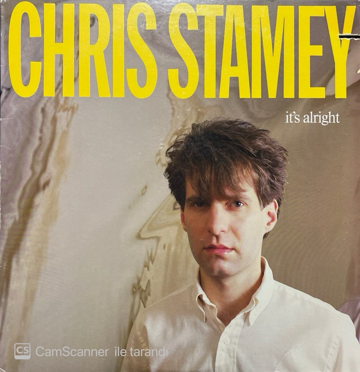 Chris Stamey It's Alright LP Plak
