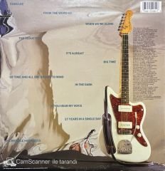 Chris Stamey It's Alright LP Plak