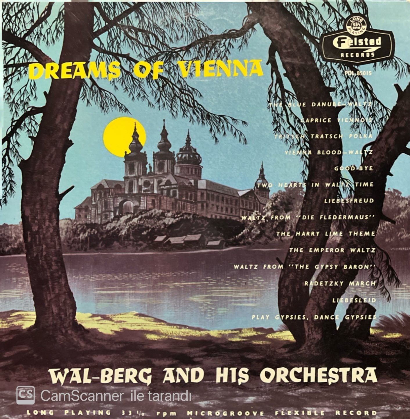 Dreams Of Vienna LP Plak