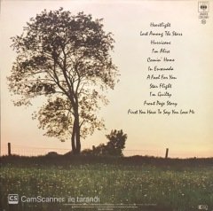 Neil Diamond Heartlight LP Plak
