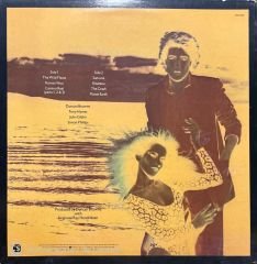 Dunca Browne The Wild Places LP Plak