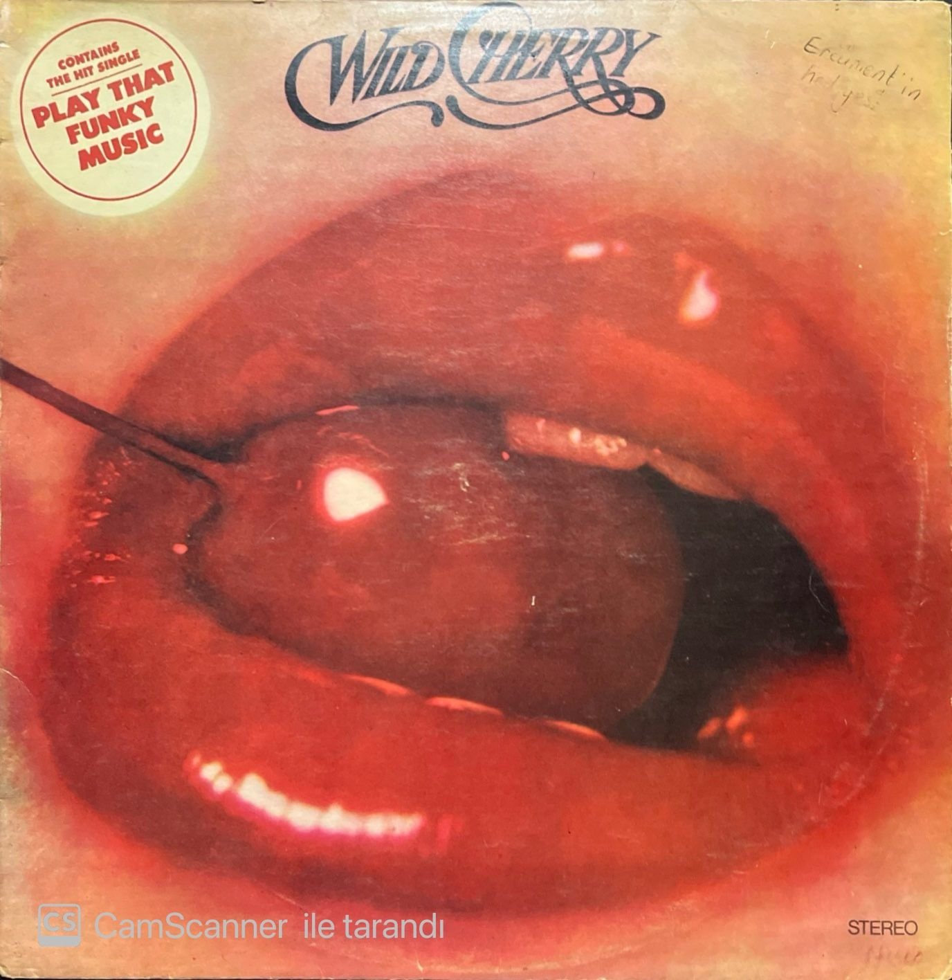 Wild Cherry LP Plak