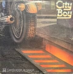 City Boy The Day The Earth Caught Fire LP Plak