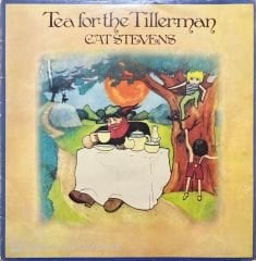 Cat Stevens Tea For The Tillerman LP Plak