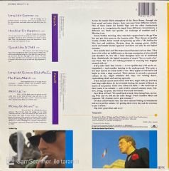 The Style Council Introducing LP Plak
