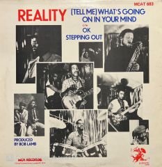 Reality (Tell Me) What's Going On In Your Mind LP Plak