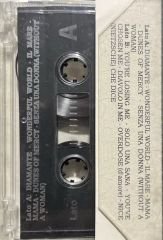 Zucchero Kaset