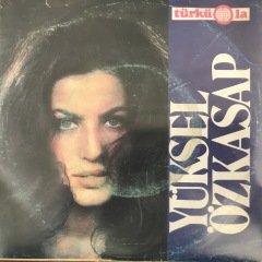 Yüksel Özkasap Ay Akşamdan Işıktır 45lik Plak