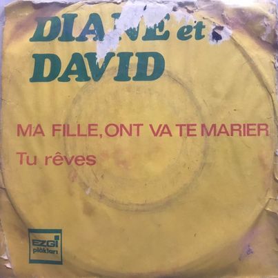 Diane Et David Ma Fille Ont Va Te Marier 45lik Plak
