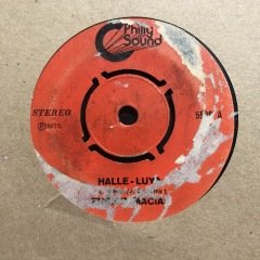 Enrico Macias Halle-Luya 45lik Plak