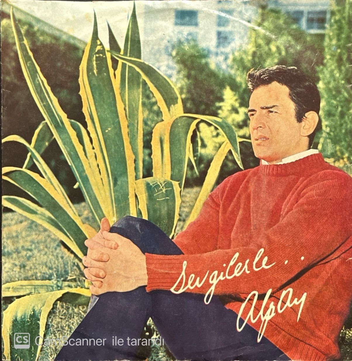 Alpay Asla Bir Daha Sevemem 45lik Plak