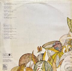 Jr. Walker & The All Stars Face & Understanding Is Hard To Find LP Plak