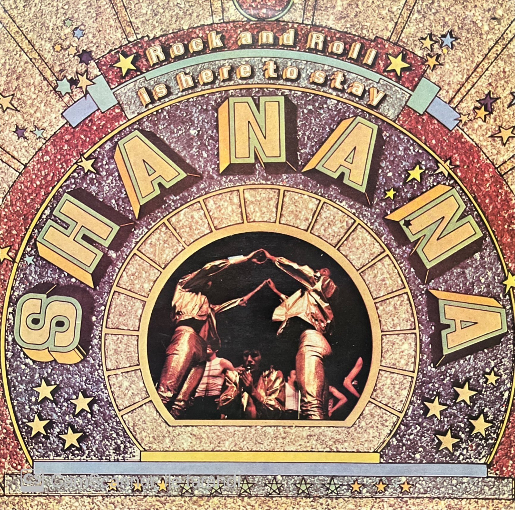 Shanana Rock & Roll Is Here To Stay LP Plak