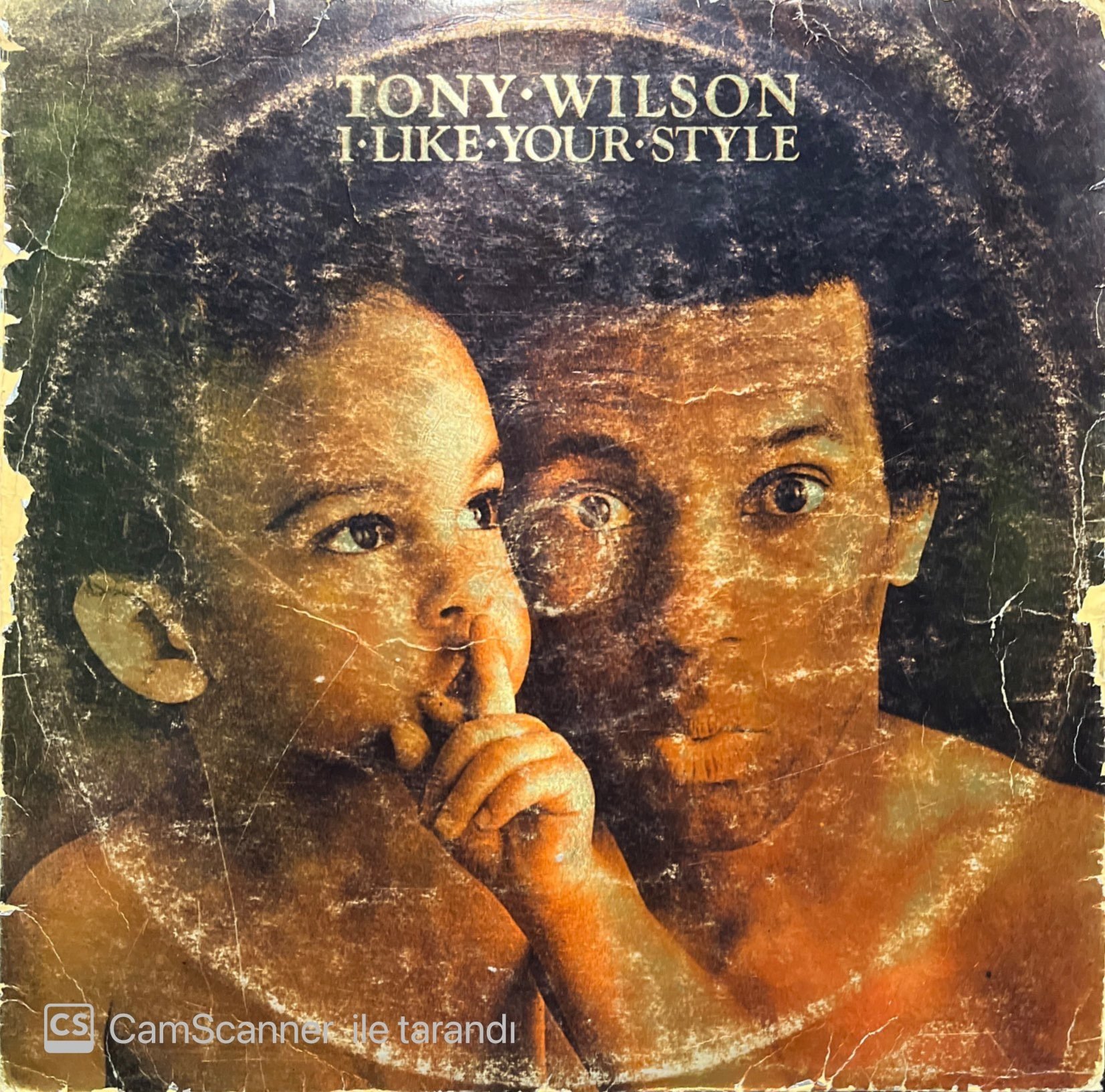 Tony Wilson I Like Your Style LP Plak