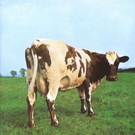 Pink Floyd Atom Heart Mother (2016 Remastered) LP Plak