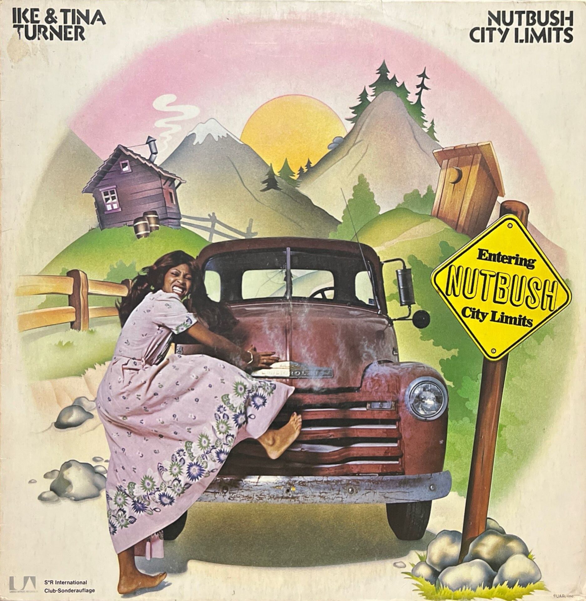 Ike & Tina Turner Nutbush City Limits LP Plak