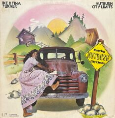 Ike & Tina Turner Nutbush City Limits LP Plak