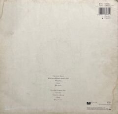 Pet Shop Boys Actually LP Plak