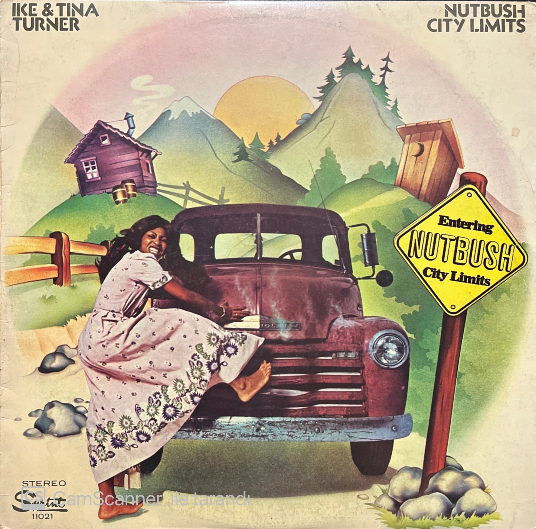 Ike & Tina Turner Nutbush City Limits LP Plak