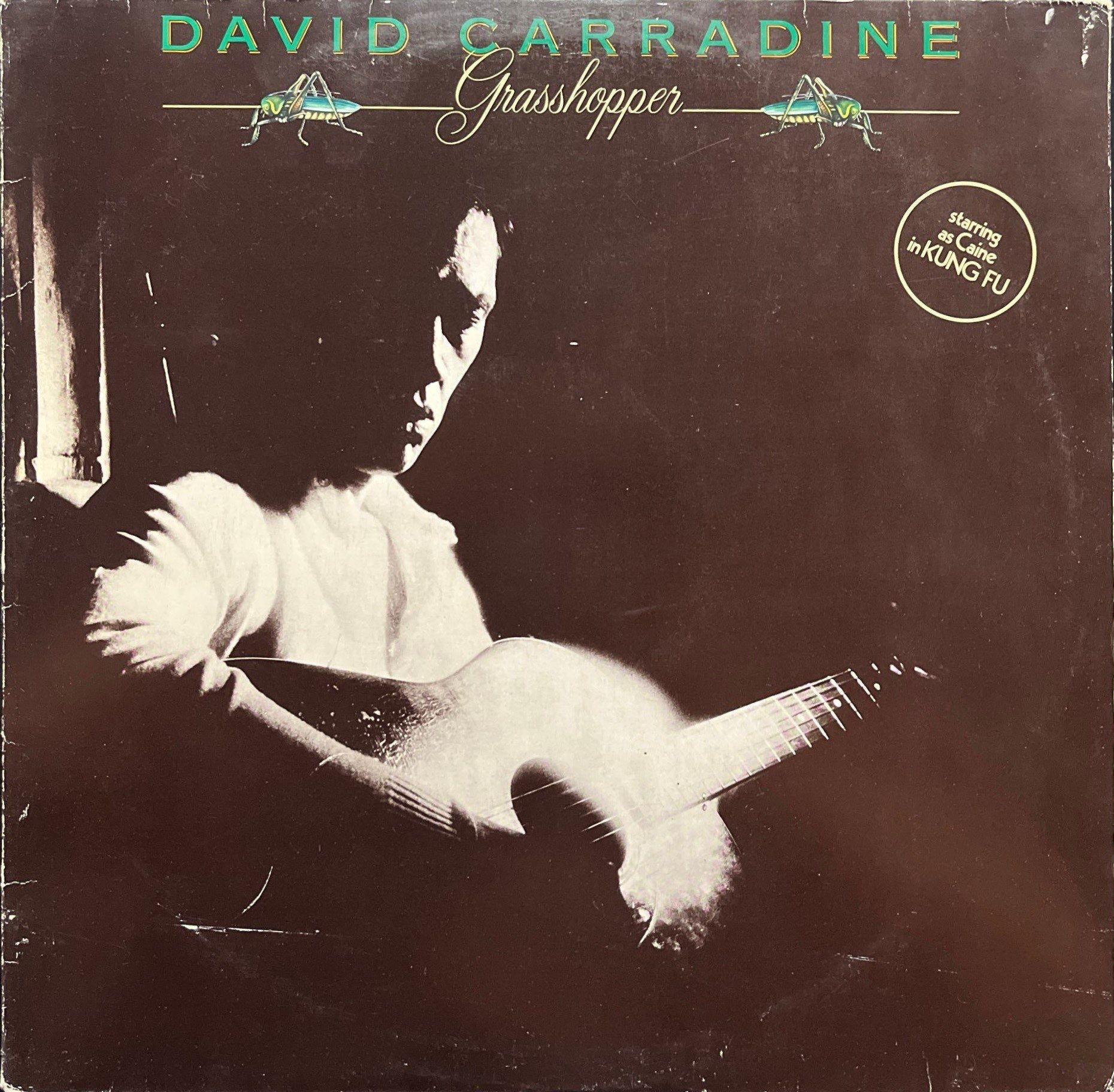 David Carradin Grasshopper LP Plak