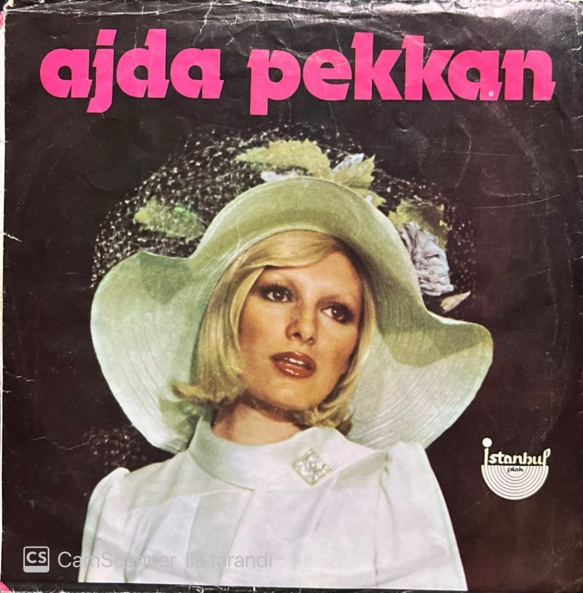 Ajda Pekkan Sana Neler Edeceğim 45lik Plak