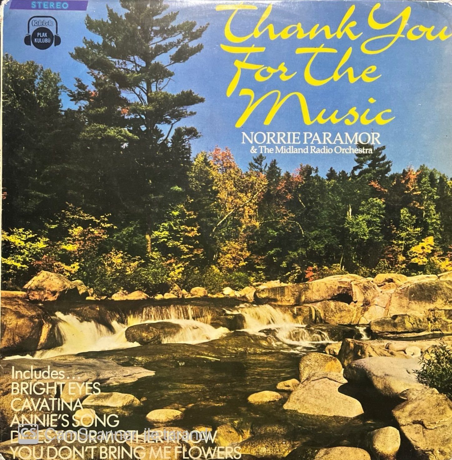 Thank You For The Music Norrie Paramor LP Plak