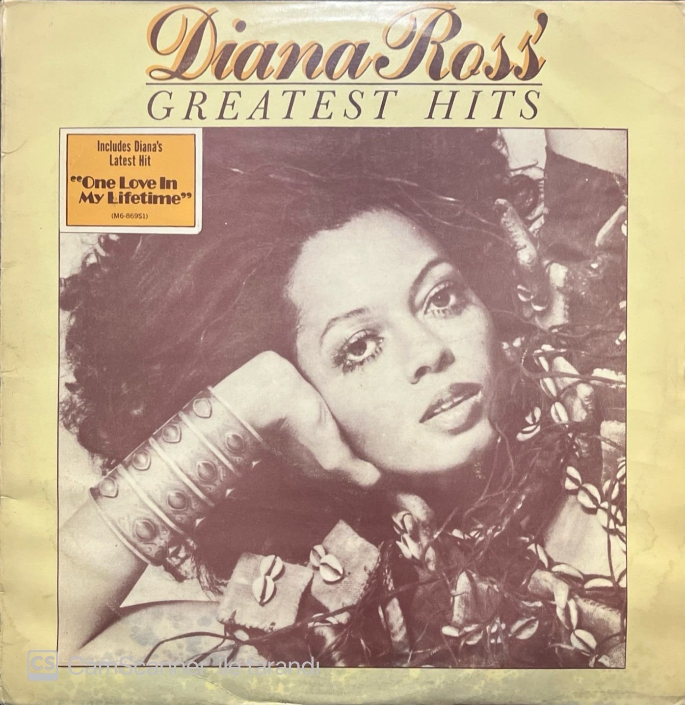 Diana Ross Greatest Hits LP Plak