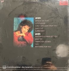 Gloria Estefan Let It Loose LP Plak