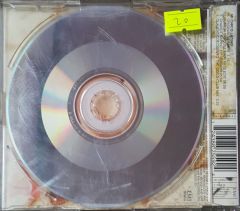 Mi Chico Latino Geri Hall,well CD