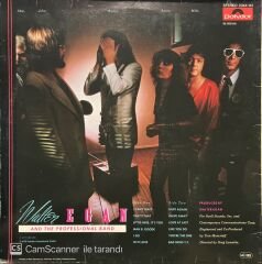 Walter Egan Hi-Fi LP Plak