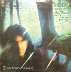 Biddu Orchestra Rain Forest LP Plak