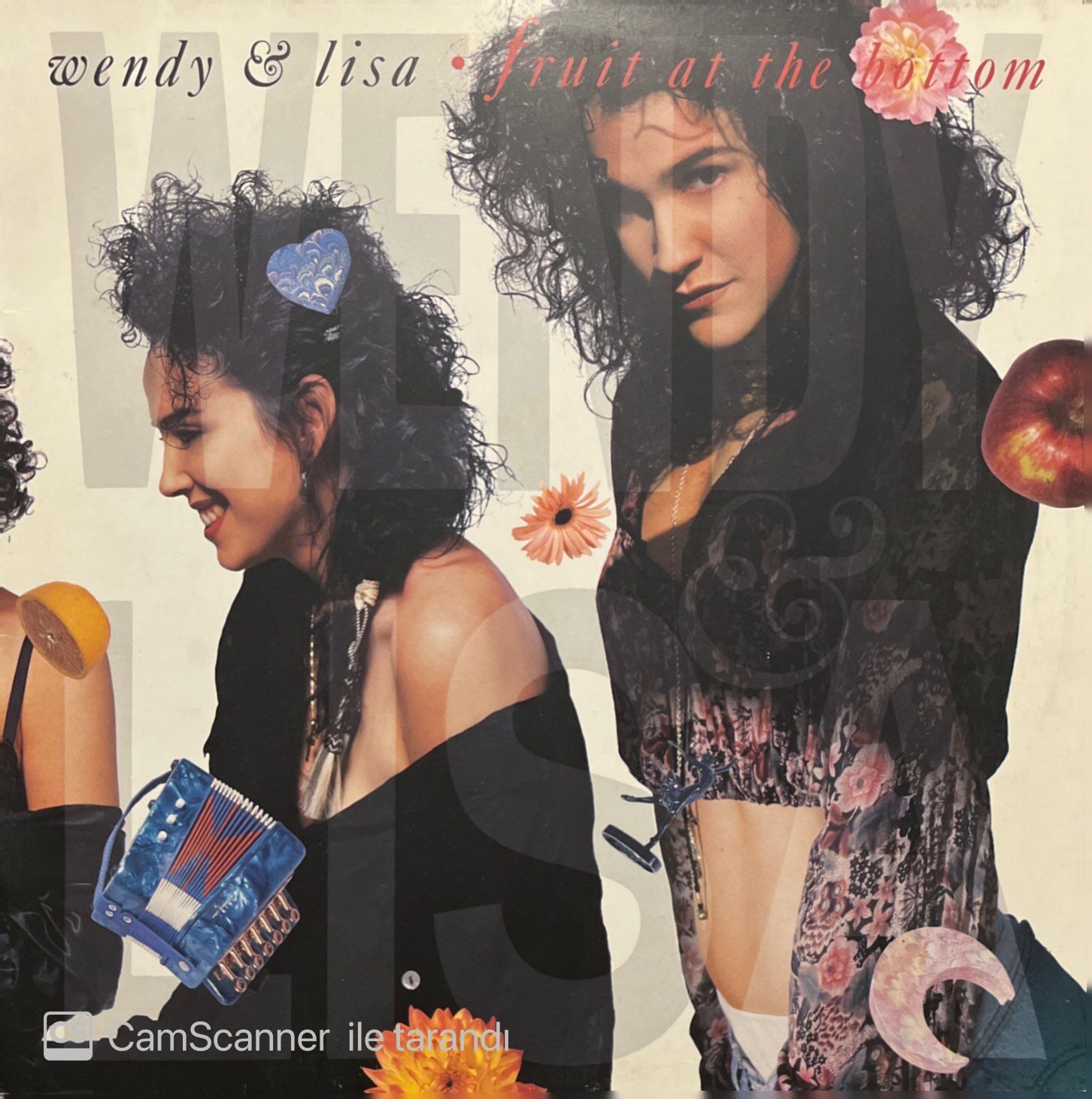 Wendy & Lisa Fruit At The Bottom LP Plak