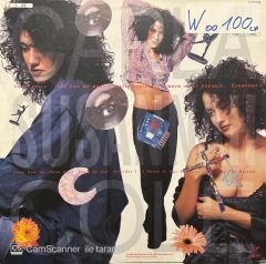 Wendy & Lisa Fruit At The Bottom LP Plak