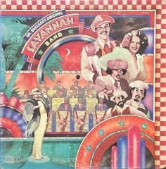 Dr. Buzzard's Original Savannah Band LP Plak