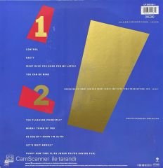 Janet Jackson Control Limited Edition LP Plak