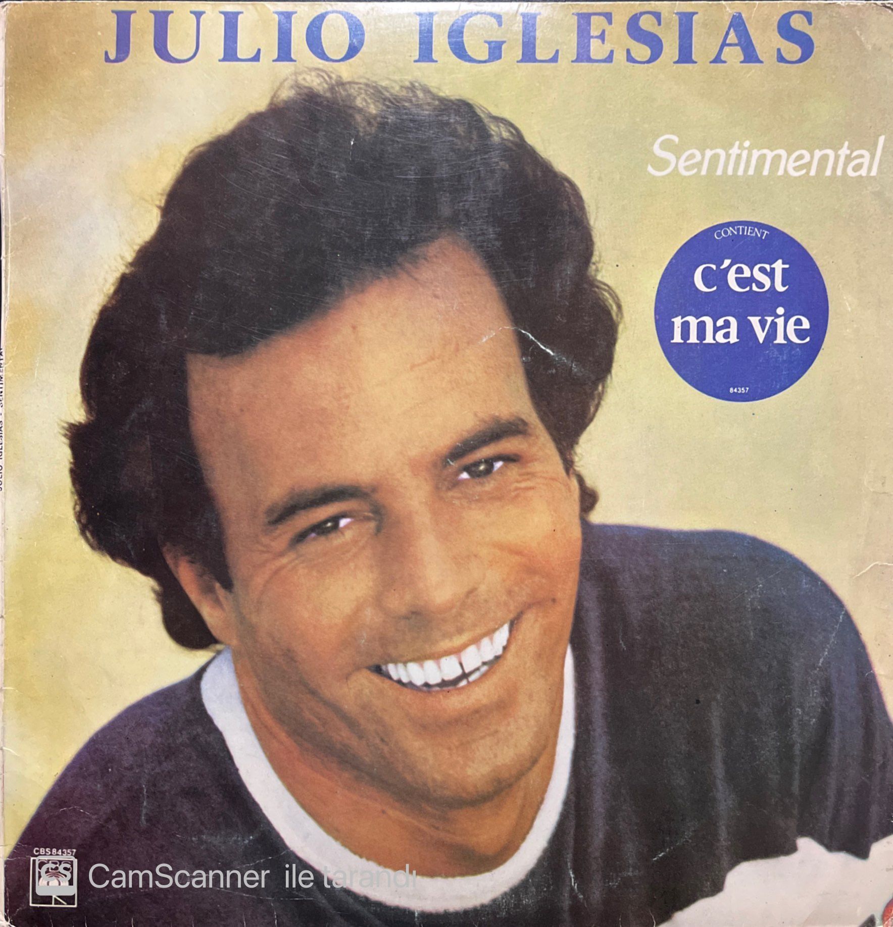 Julio Iglesias Sentimental LP Plak