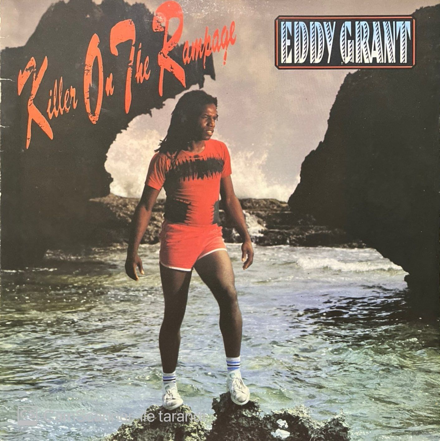 Eddy Grant Killer On The Rampage LP Plak