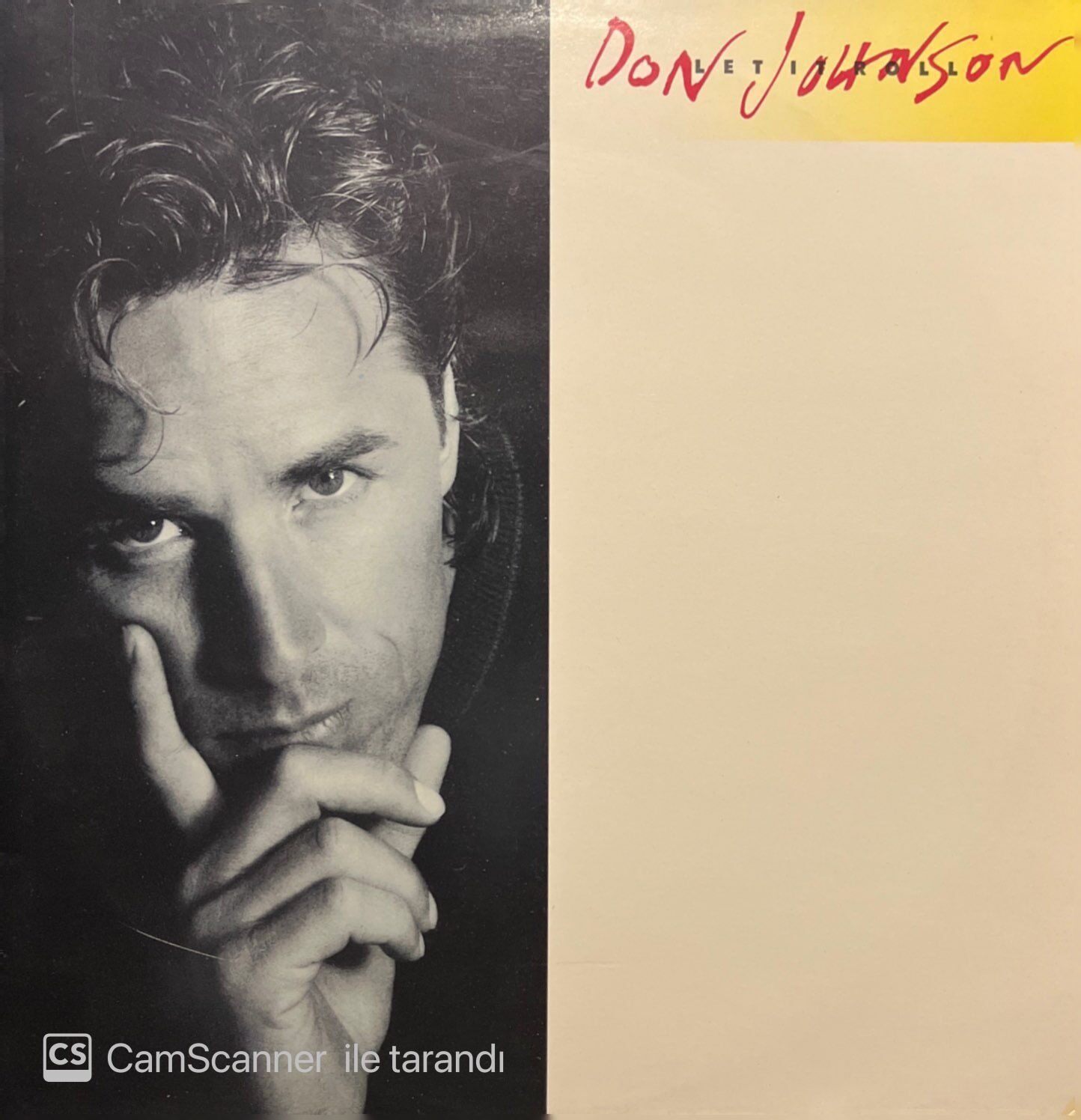 Don Johnson Let It Roll LP Plak