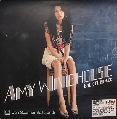 Amy Winehouse Back To Black LP Plak