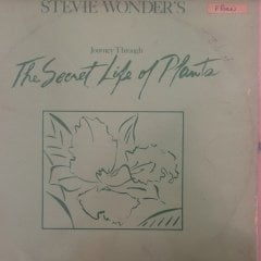 Stevie Wonder The Secret Life Of Plants Çift LP Plak