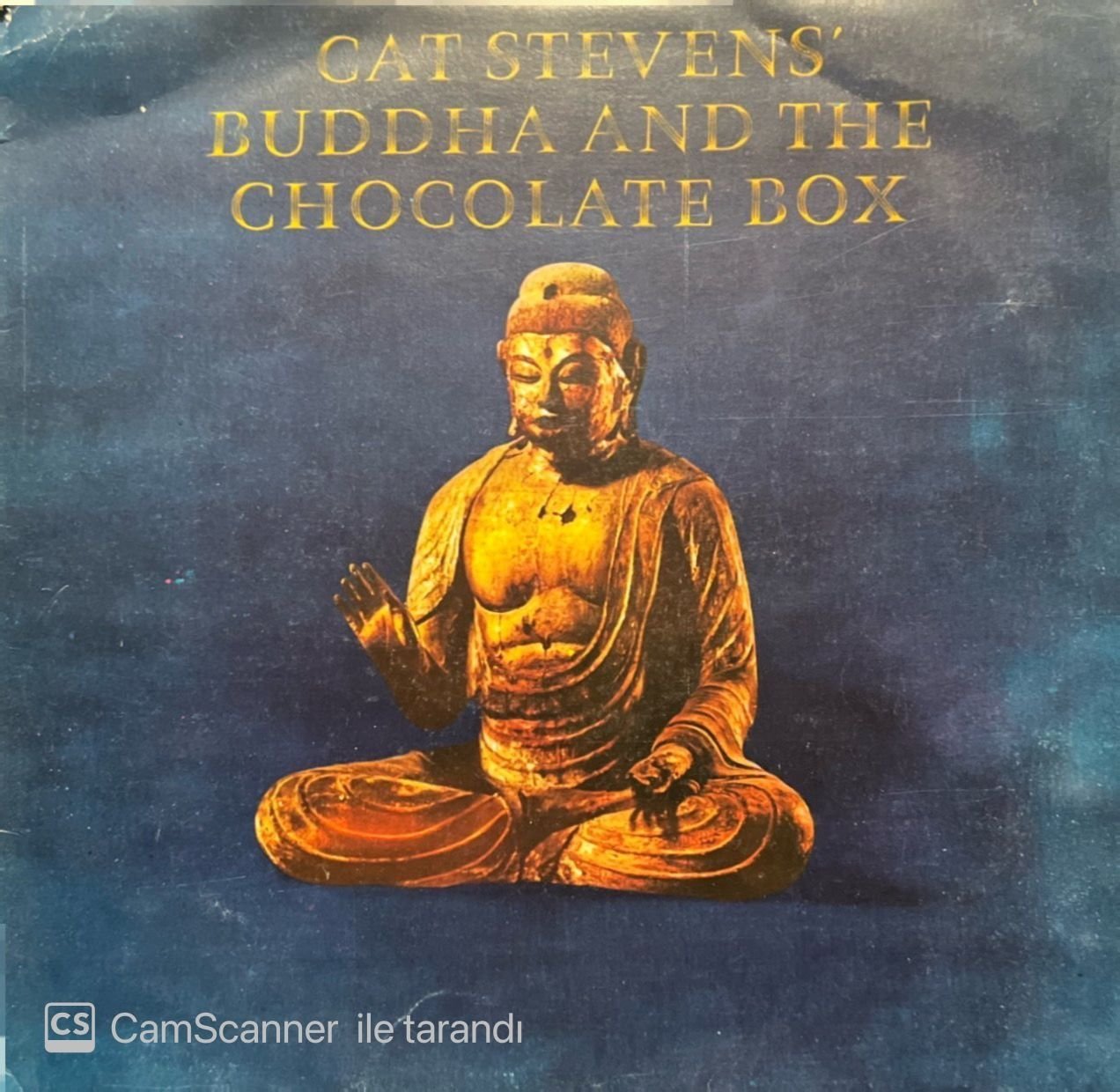 Cat Stevens Buddha And The Chocolate LP Plak