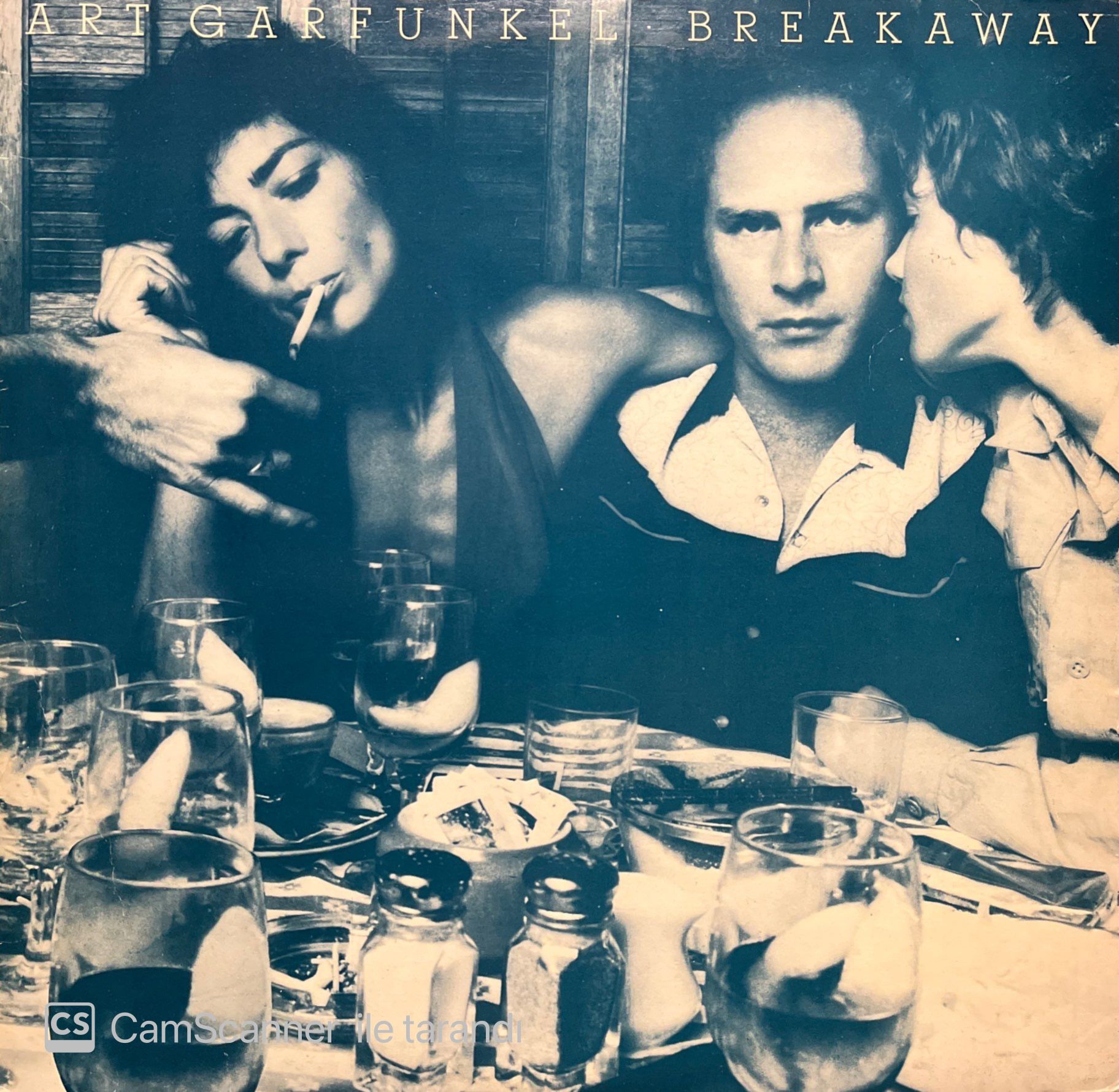 Art Garfunkel Breakaway LP Plak